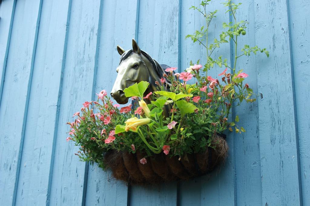 Auberge Le Cheval Bleu Saint-Alphonse-Rodriguez المظهر الخارجي الصورة